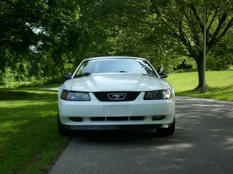 2003MustangGT5-16-10012.webp