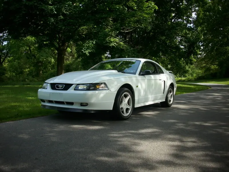 2003MustangGT5-16-10015.webp