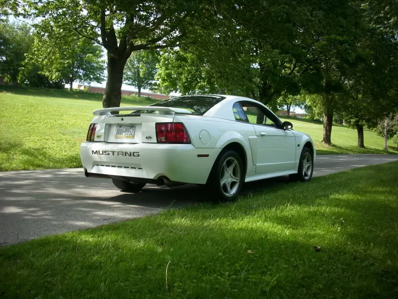 2003MustangGT5-16-10022.webp