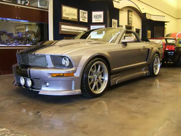 2005Eleanor.webp