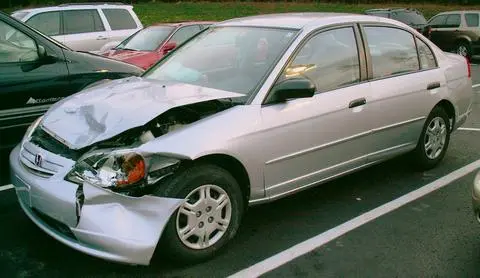 20061127_deer_hit11.webp