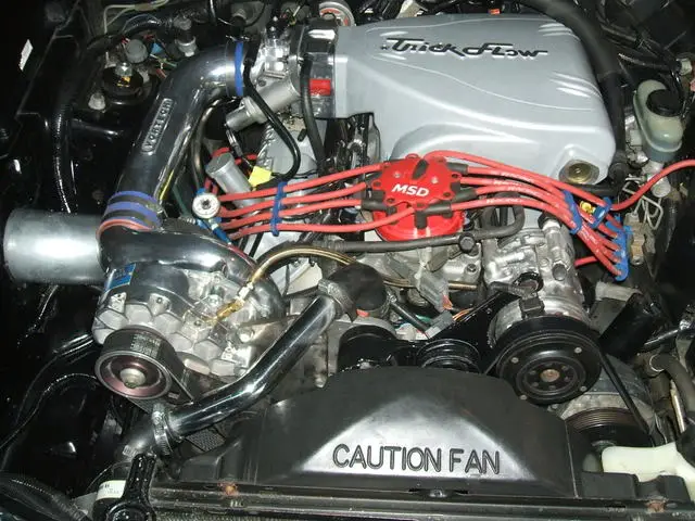 2006_031000002.webp