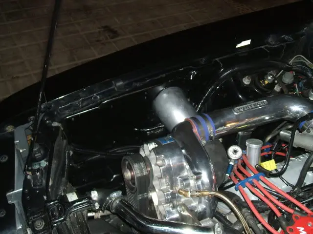 2006_031000006.webp