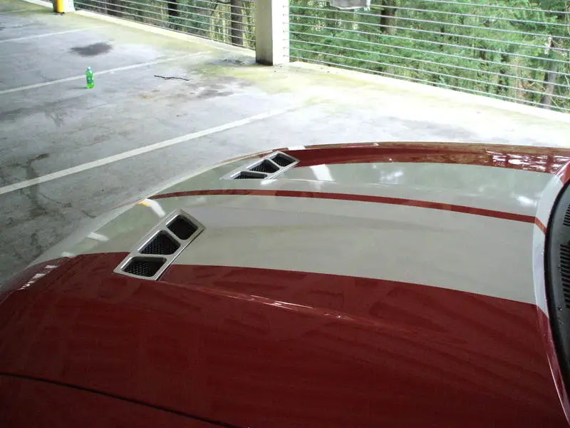 2006_0409Image0003.webp
