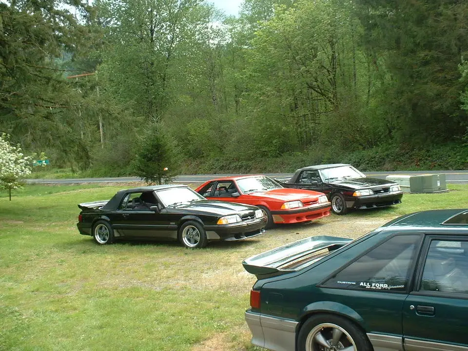 2006_0506_151758AA.webp