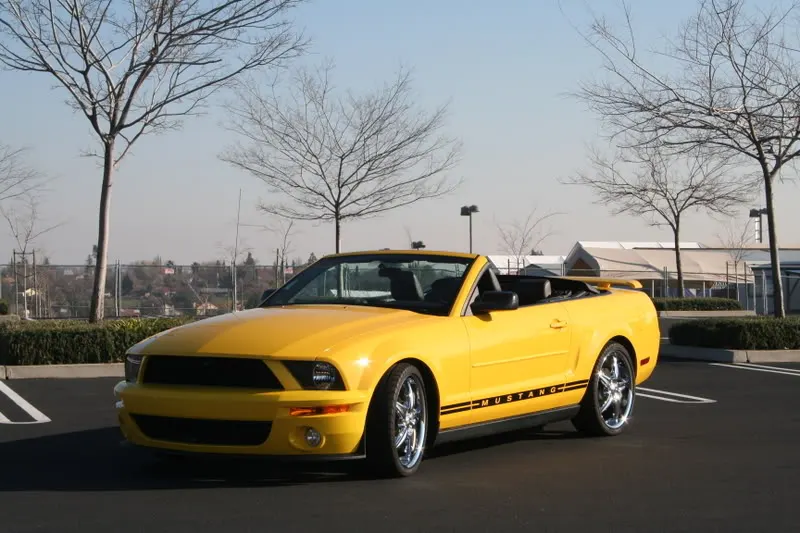 2006MUSTANG11507028.webp