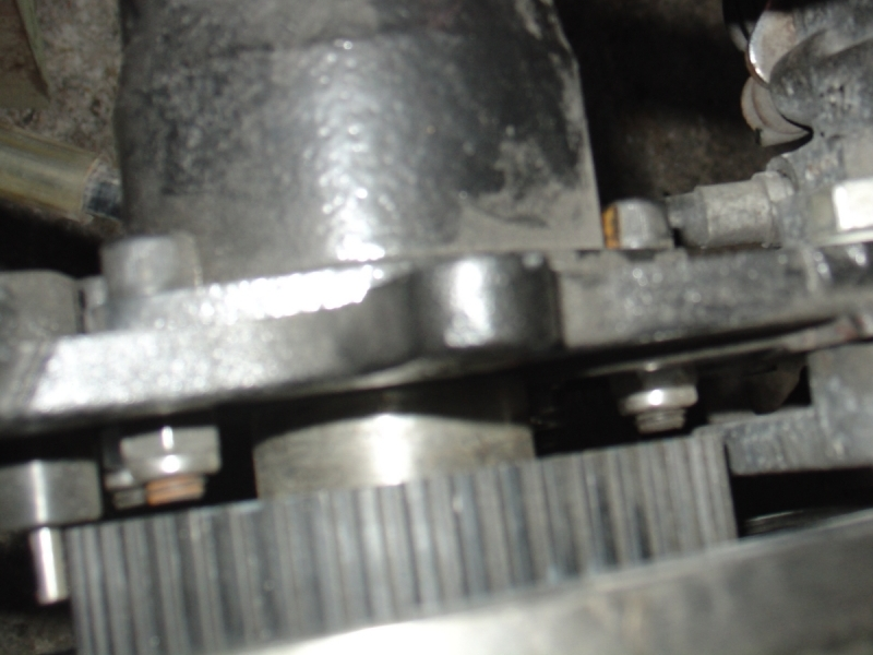 2007-0120_04snake_ABS-800.webp