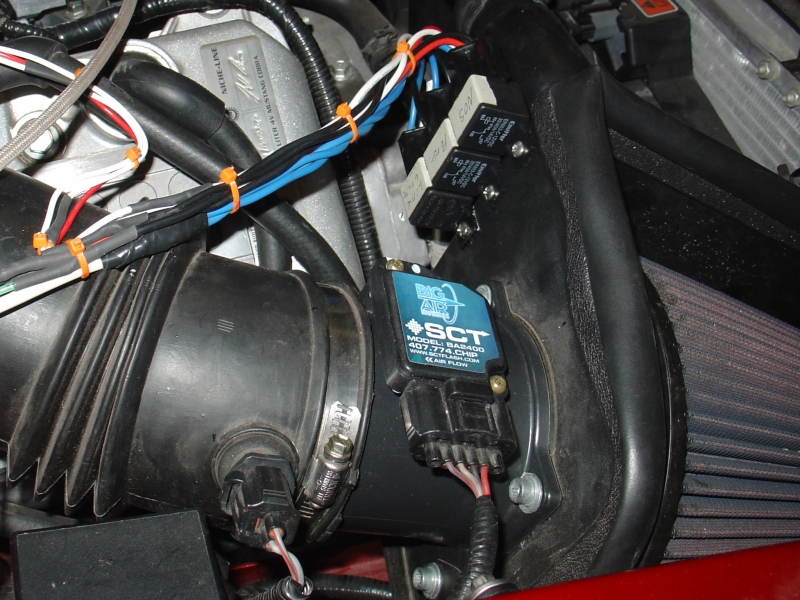 2007-0131_snake-relays-800.webp