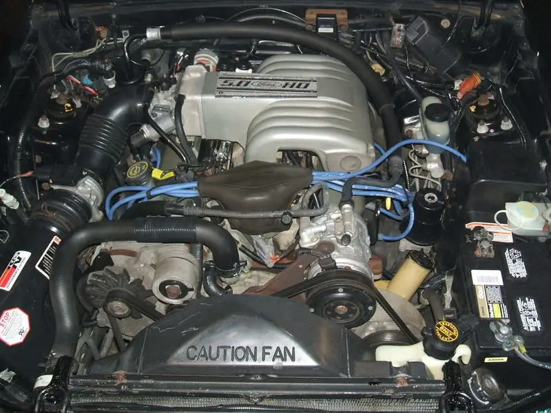2007_010100025.webp