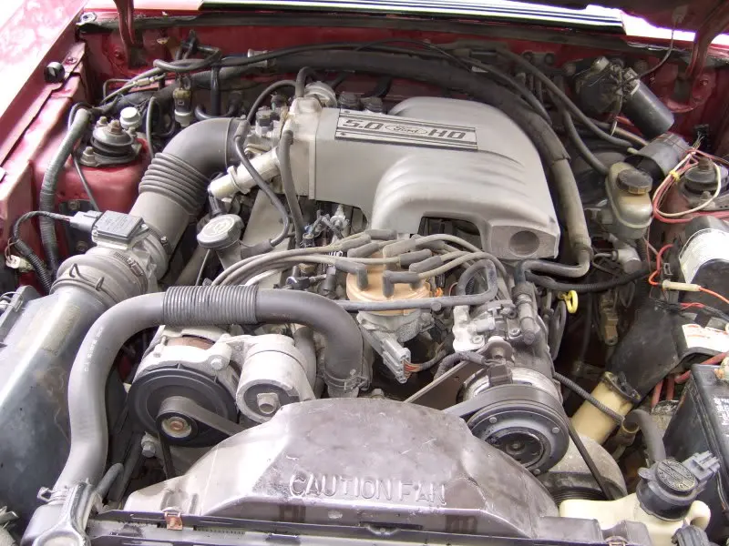 2007_0601foxbodyclean0009.webp