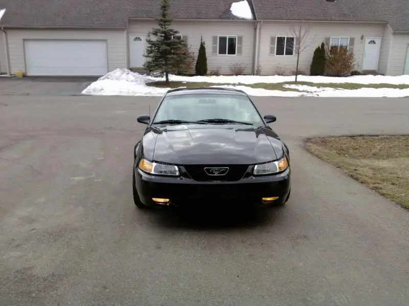2010-03-10131910.webp