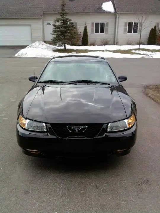 2010-03-10131917.webp