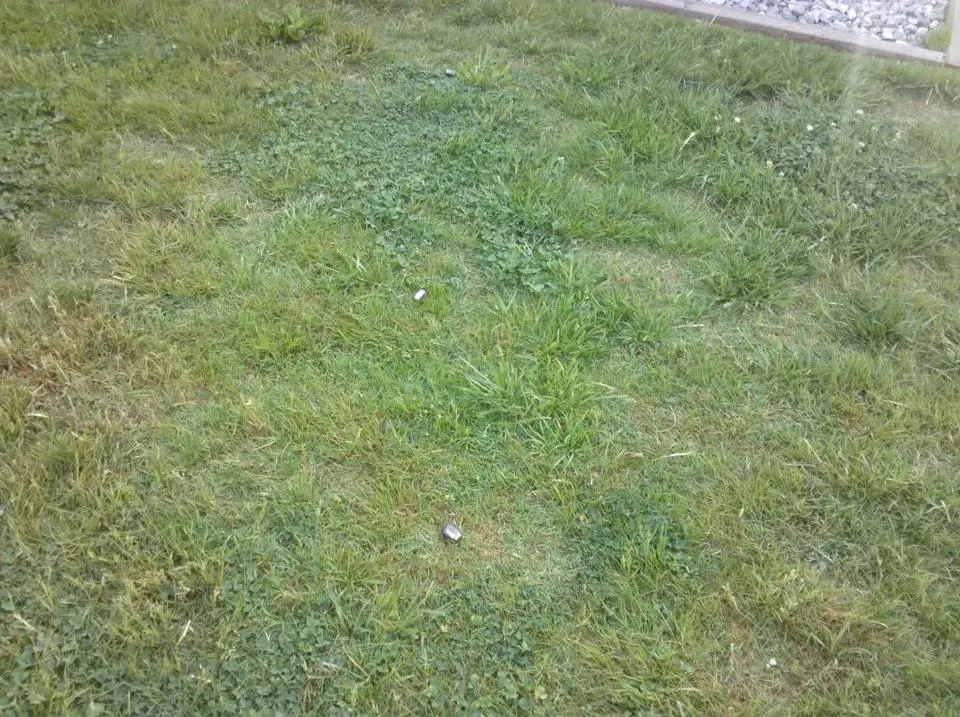 2010-04-23092221.webp