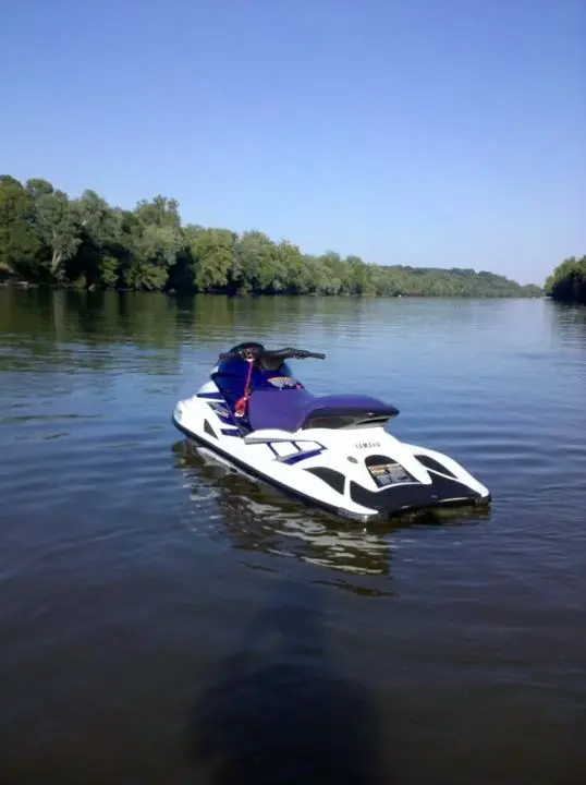 2010-07-04183302.webp