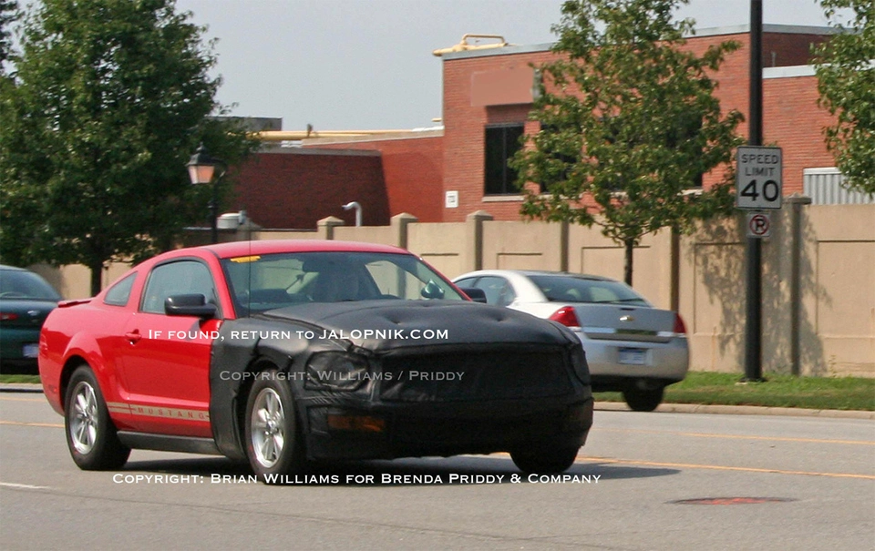 2010-mustang-mule.webp