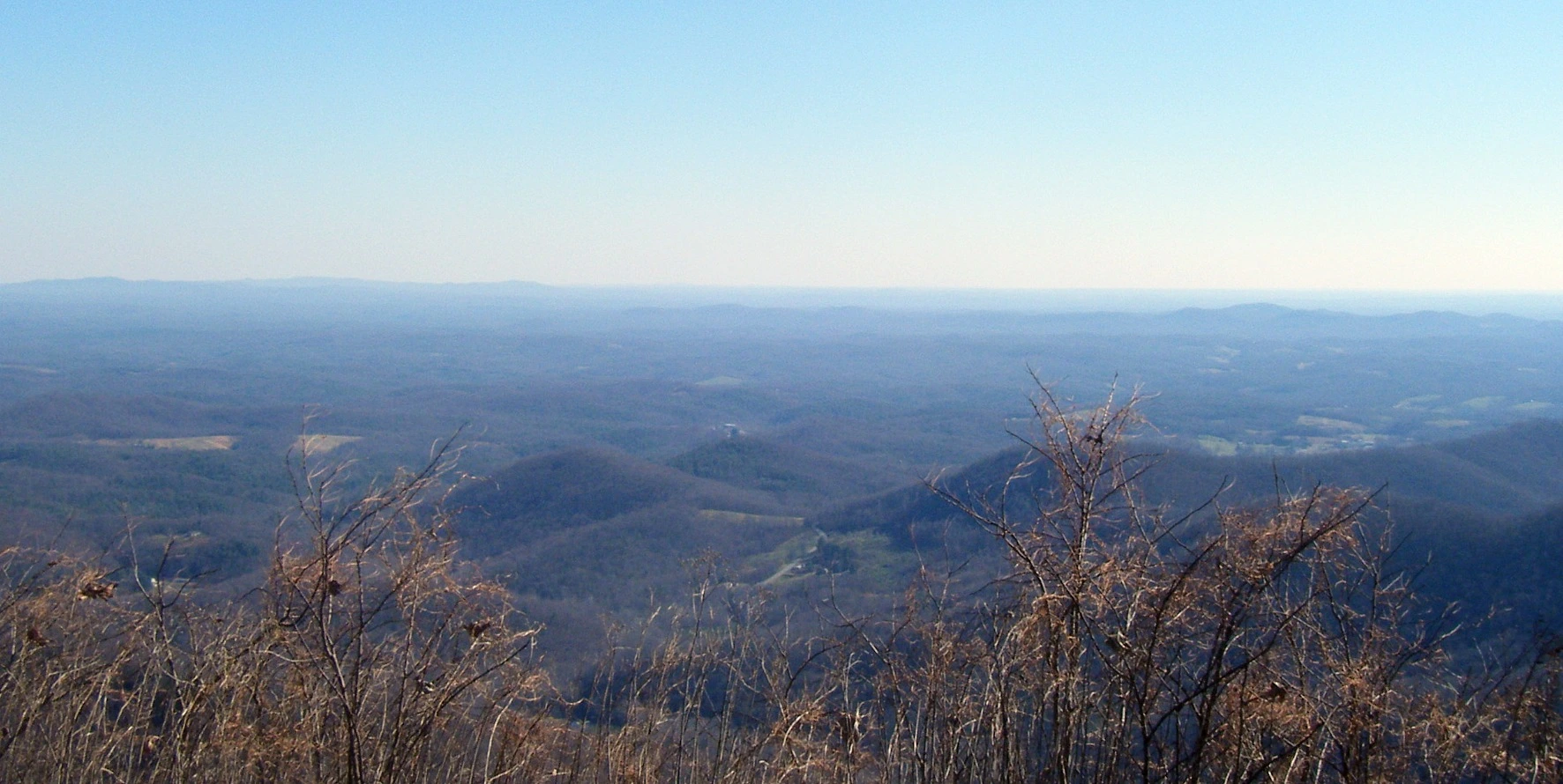 2010_1127Mttohuntdeer4th0022.webp