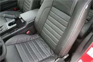 2010_mustang_leather.1.webp
