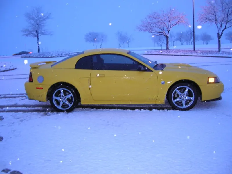 2010pics013.webp