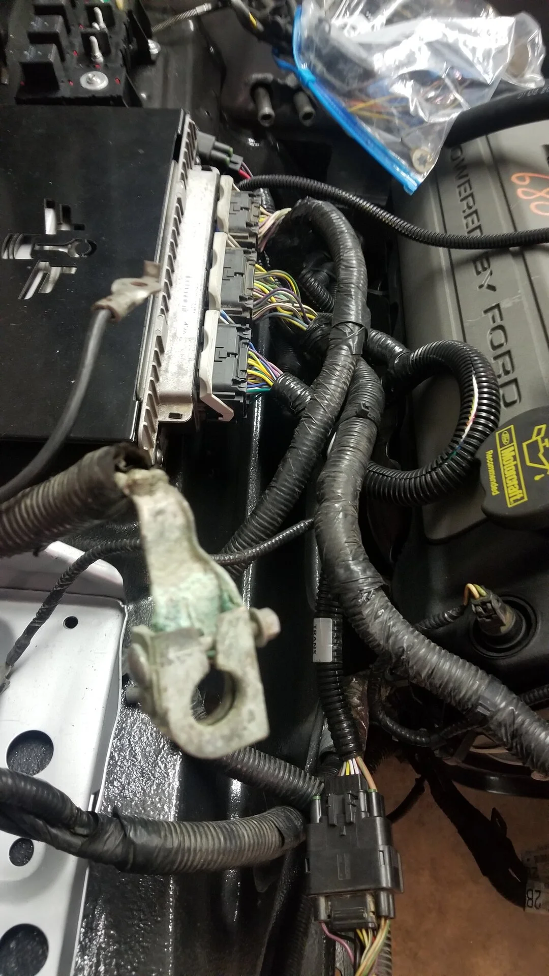 2012 Mustang GT Negative Terminal Cable.webp