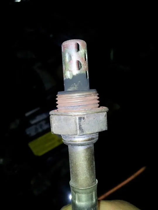 20120325_175338.webp