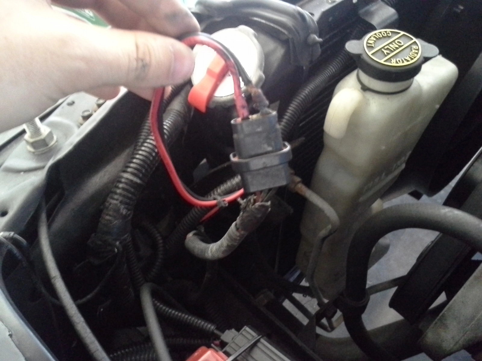 20130406_150637.webp