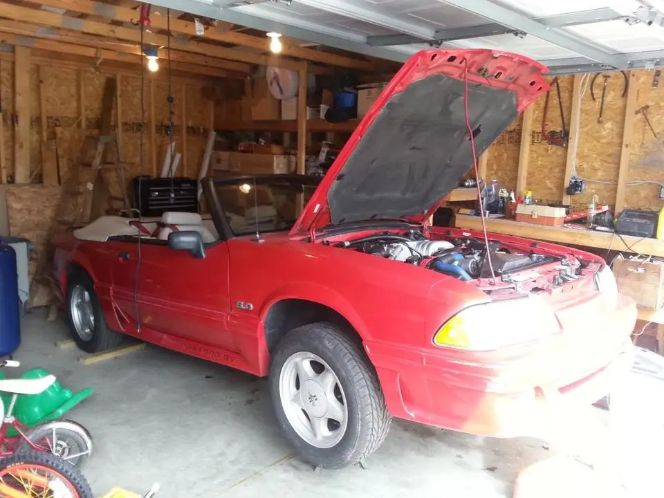 20130423_115026_zpsb5c8c3a2.webp