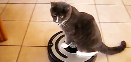 20130626-roomba-cats-close-encounters-hero.webp
