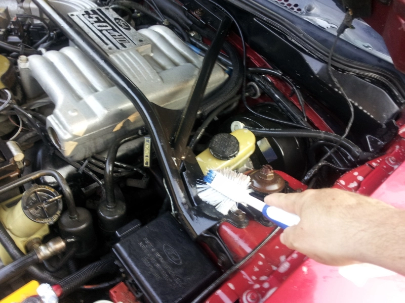 20130629_074154_zps61b87eea.webp