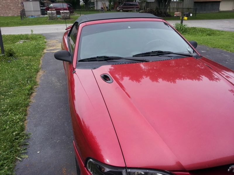 20130706_173358_zps61cf98d6.webp