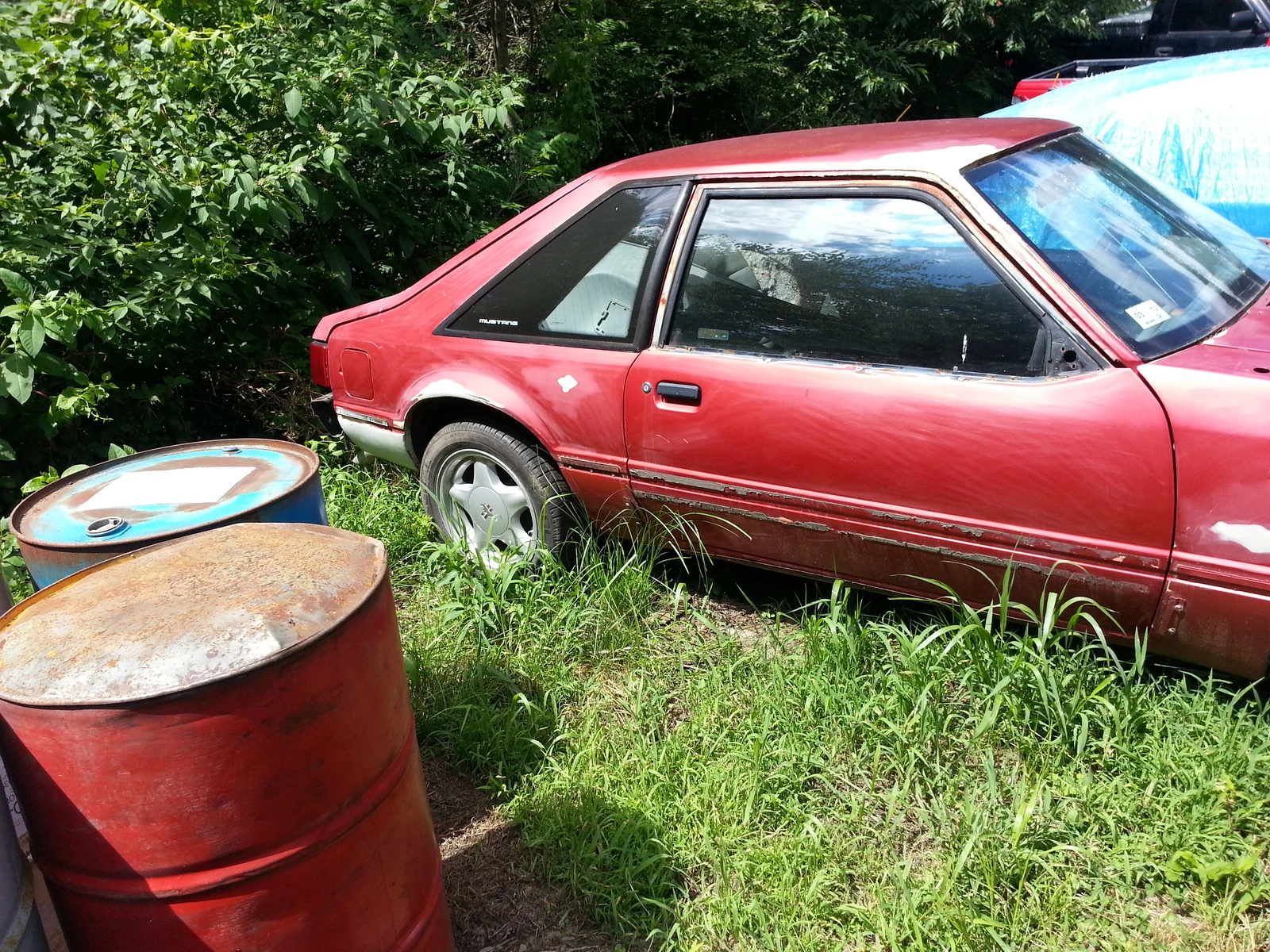 20130804_143219.webp