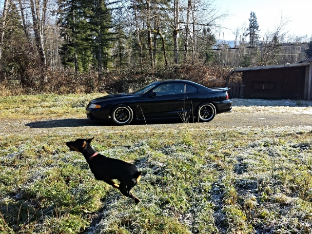 20131206_121251.webp