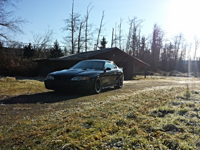 20131206_121316.webp