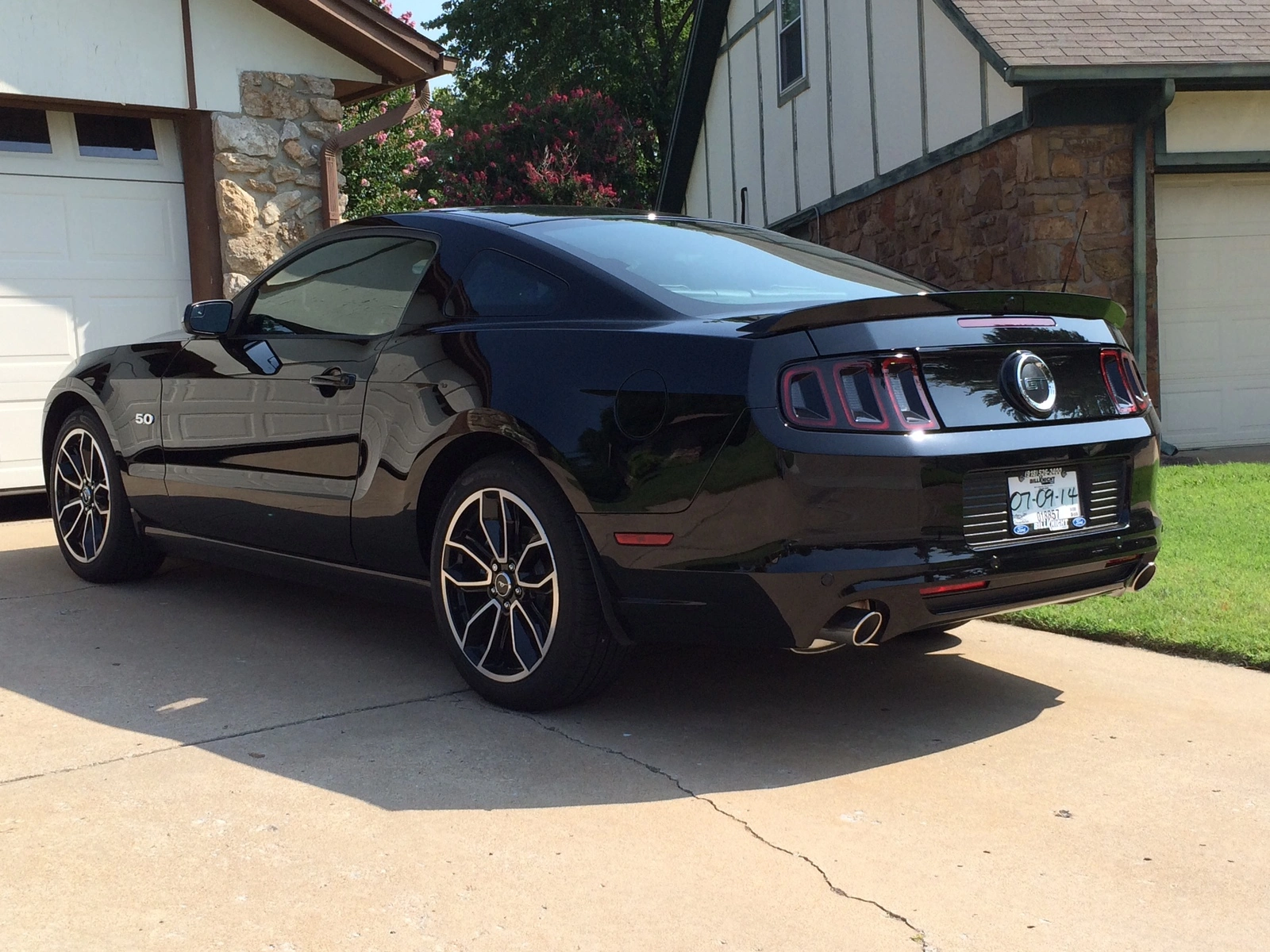 2014 GT 19.webp