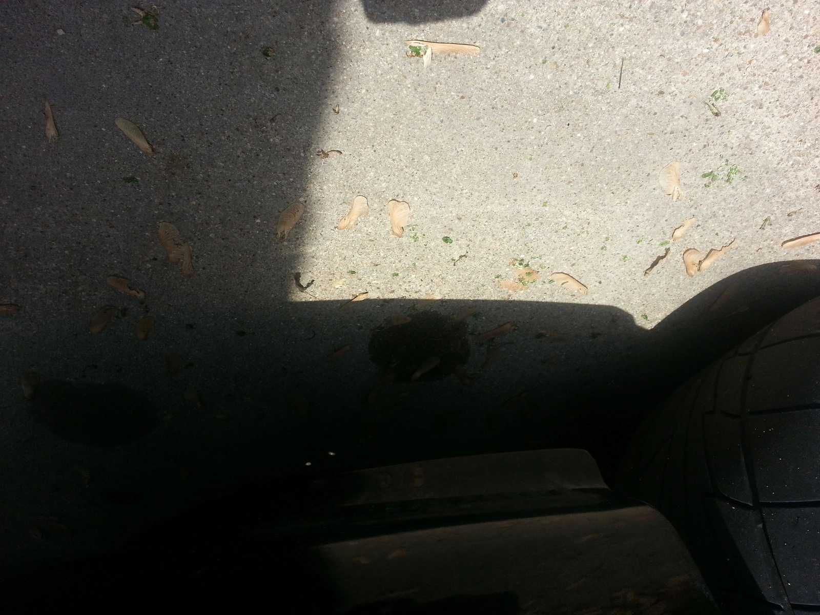 20140531_140256.webp