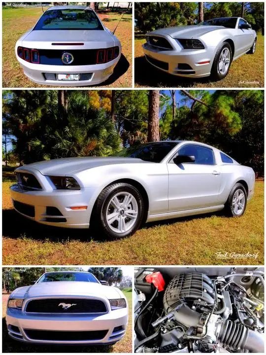 2014MustangCollage_zpsf41b28b9.webp