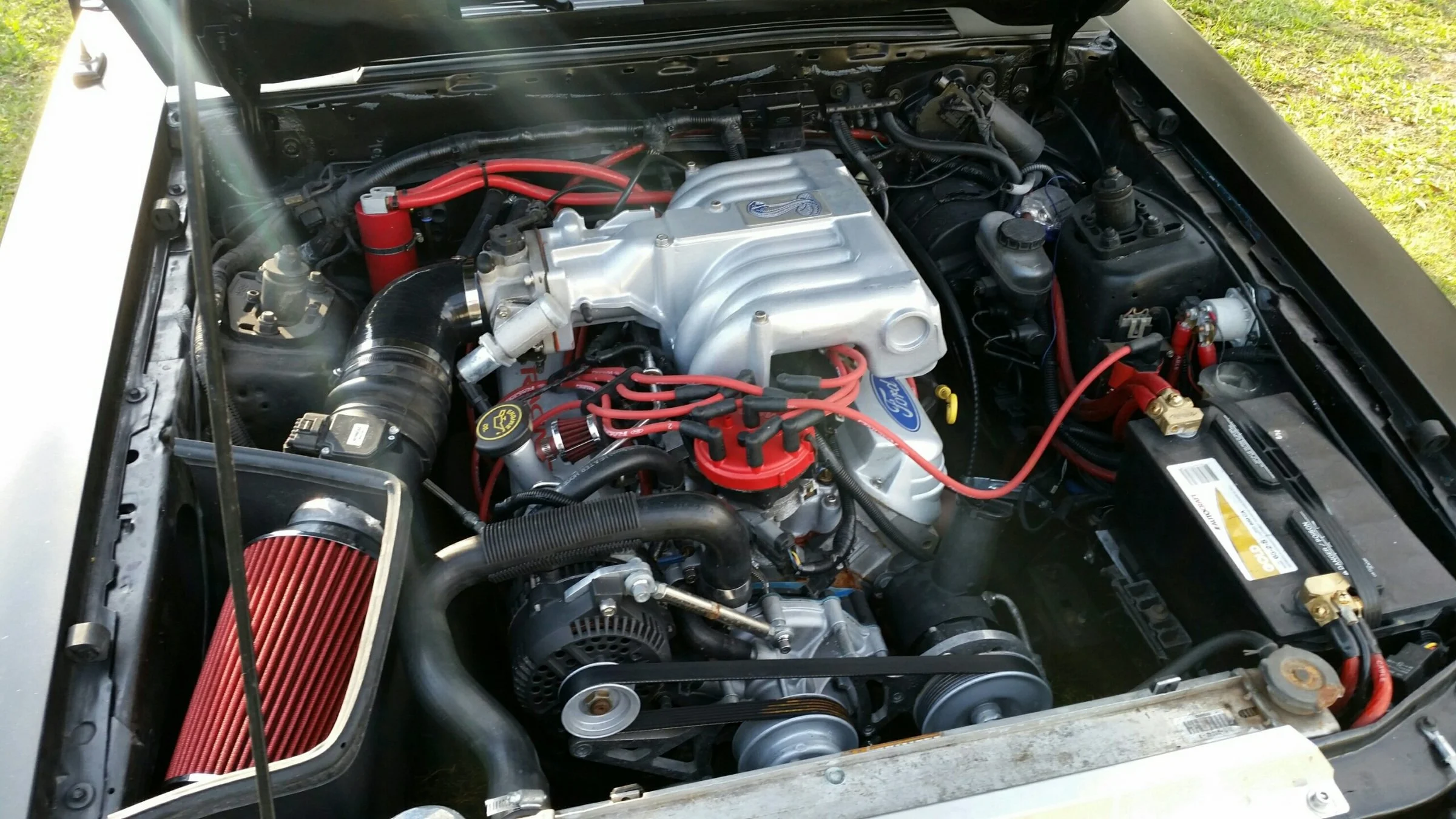 20150130_163153-2_optimized.webp