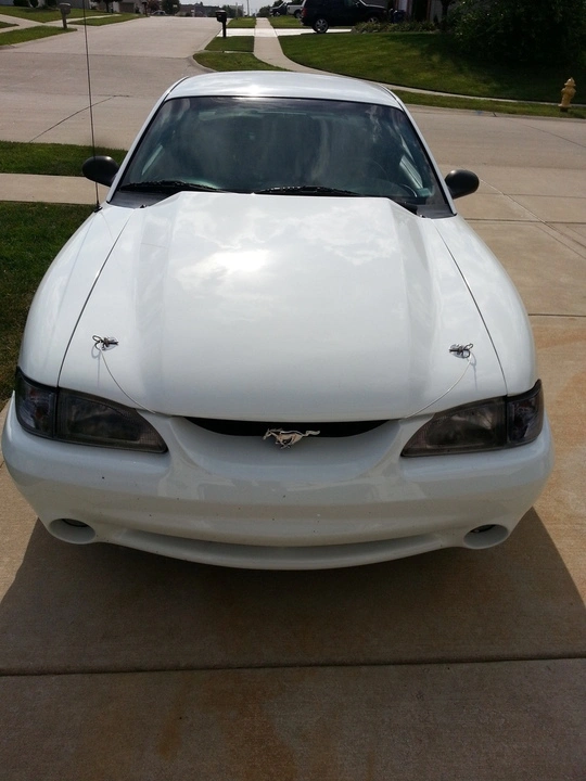 20150716_165606_zpsfym8n5aa.webp