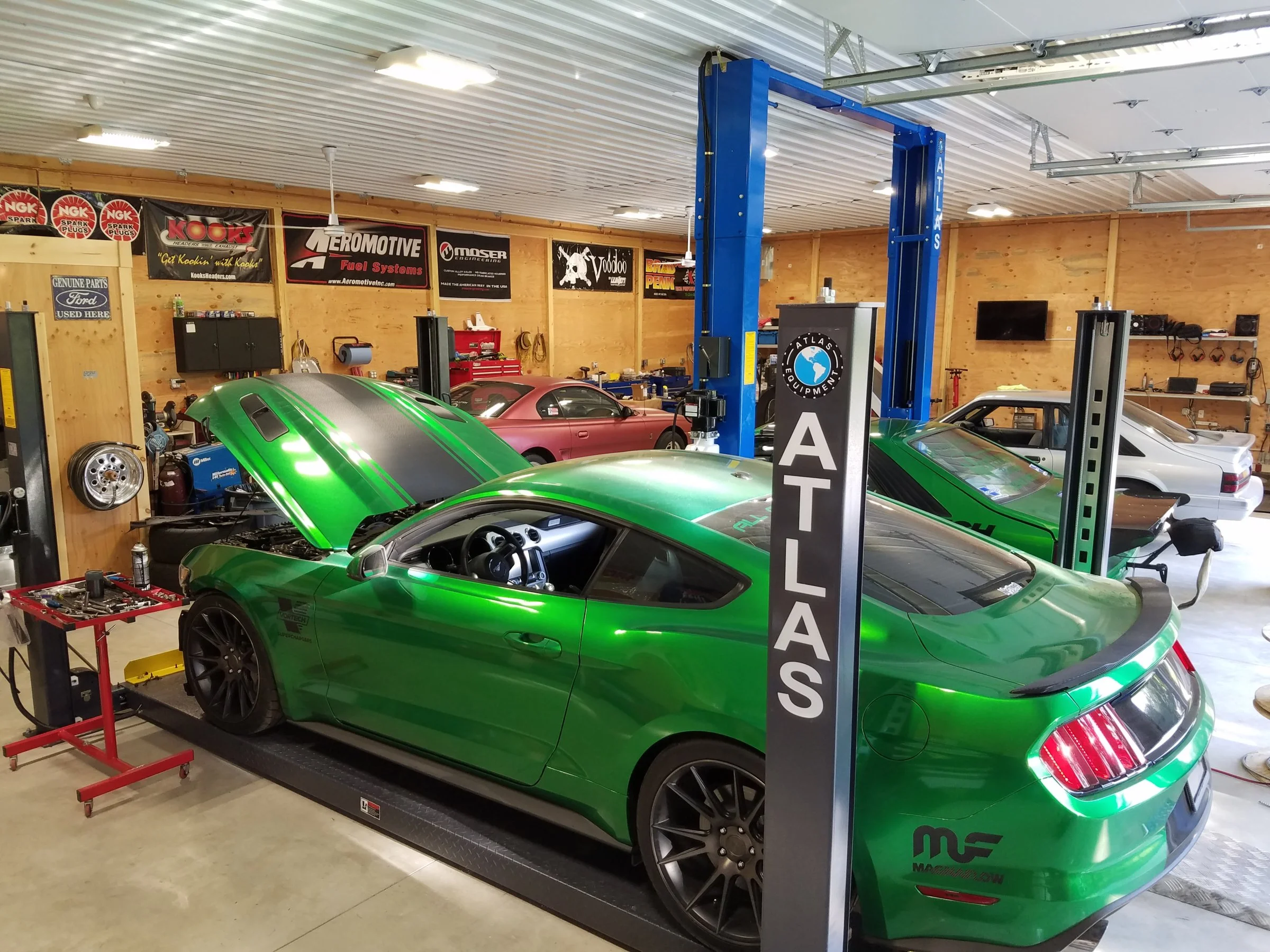 2016-08-19 17.52.23.webp