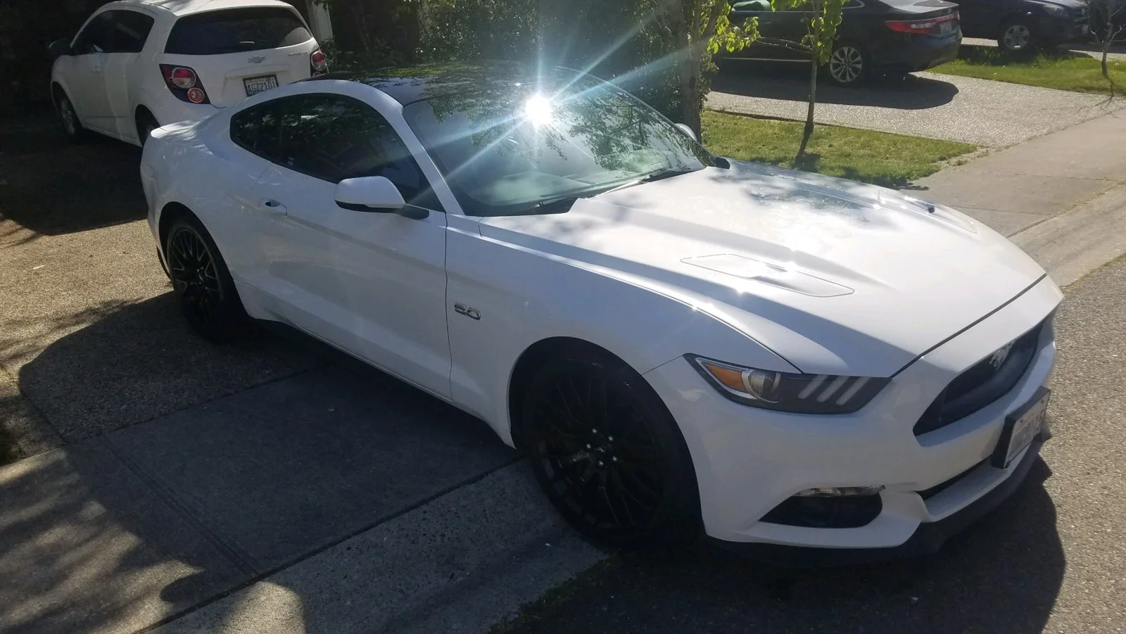 2016 Mustang.webp