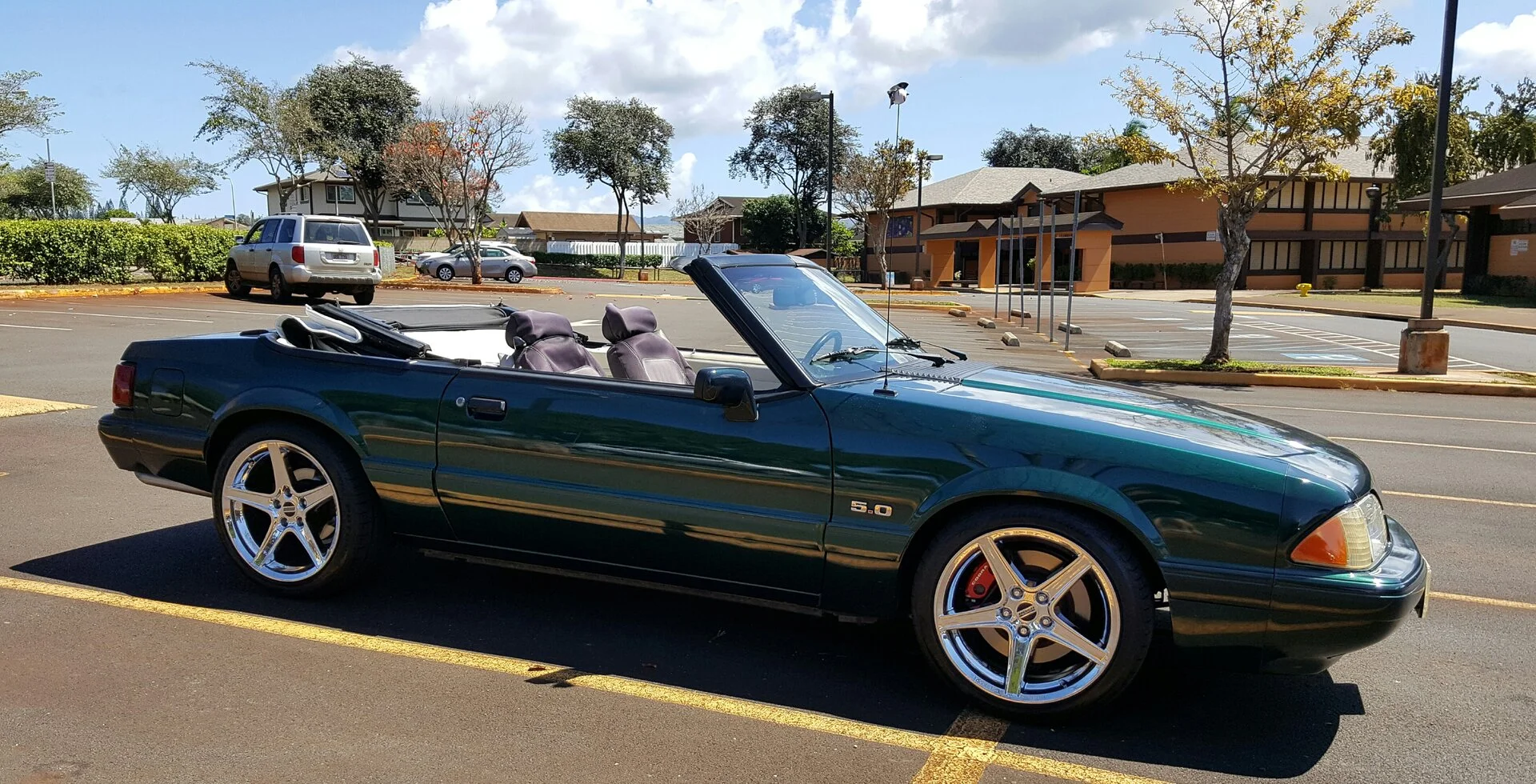 20160326_115930.jpg