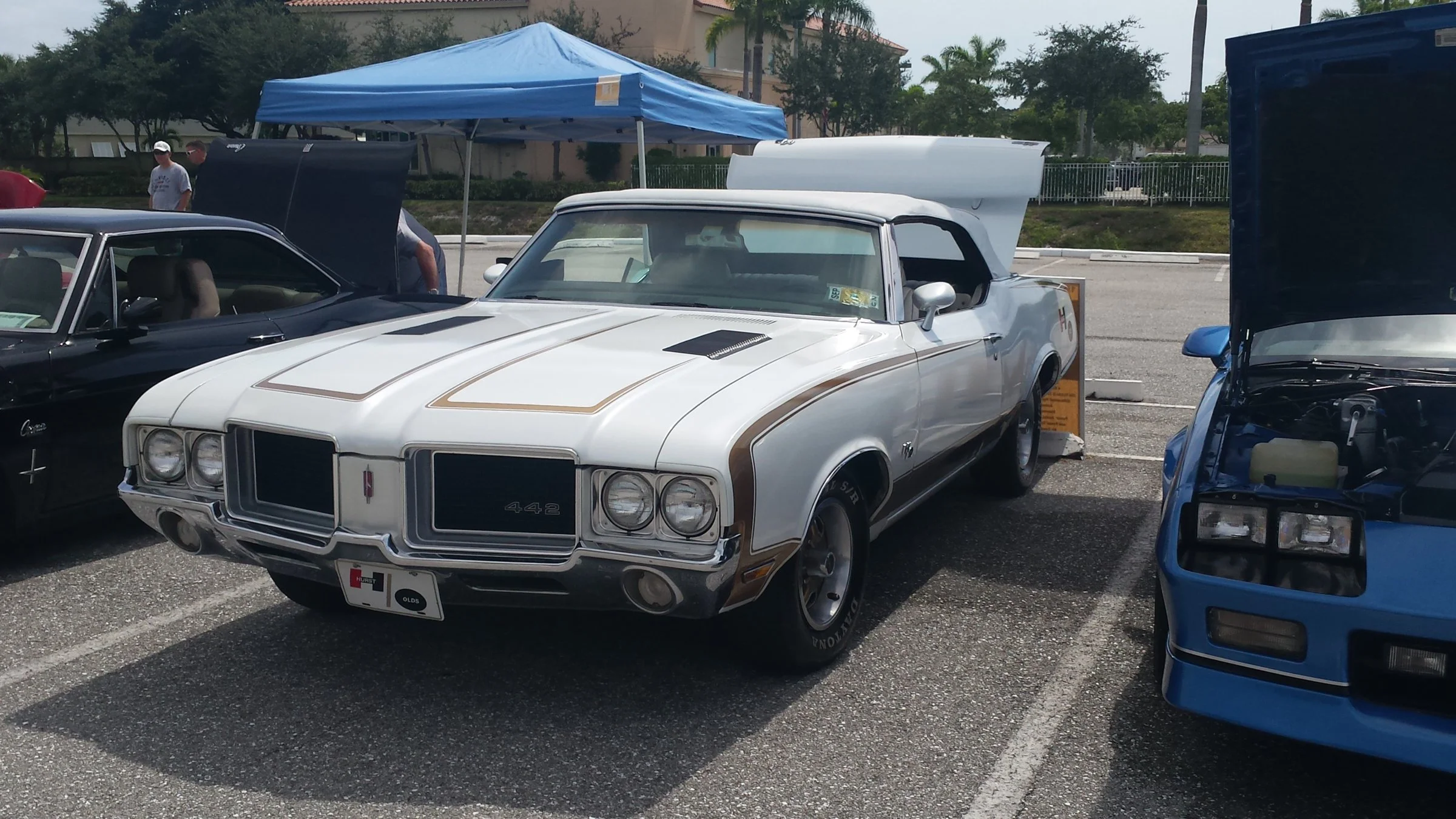 20160806_112224.webp