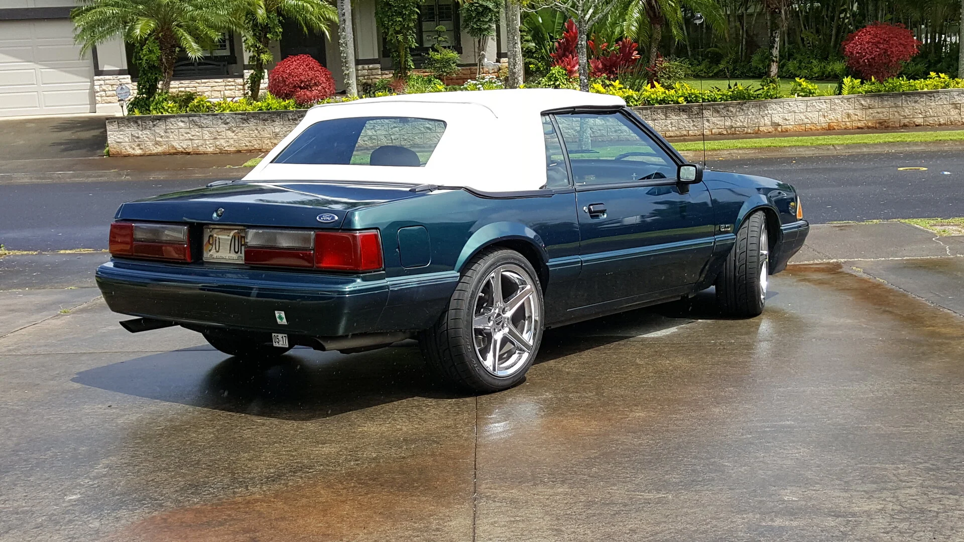 20160926_131641.jpg