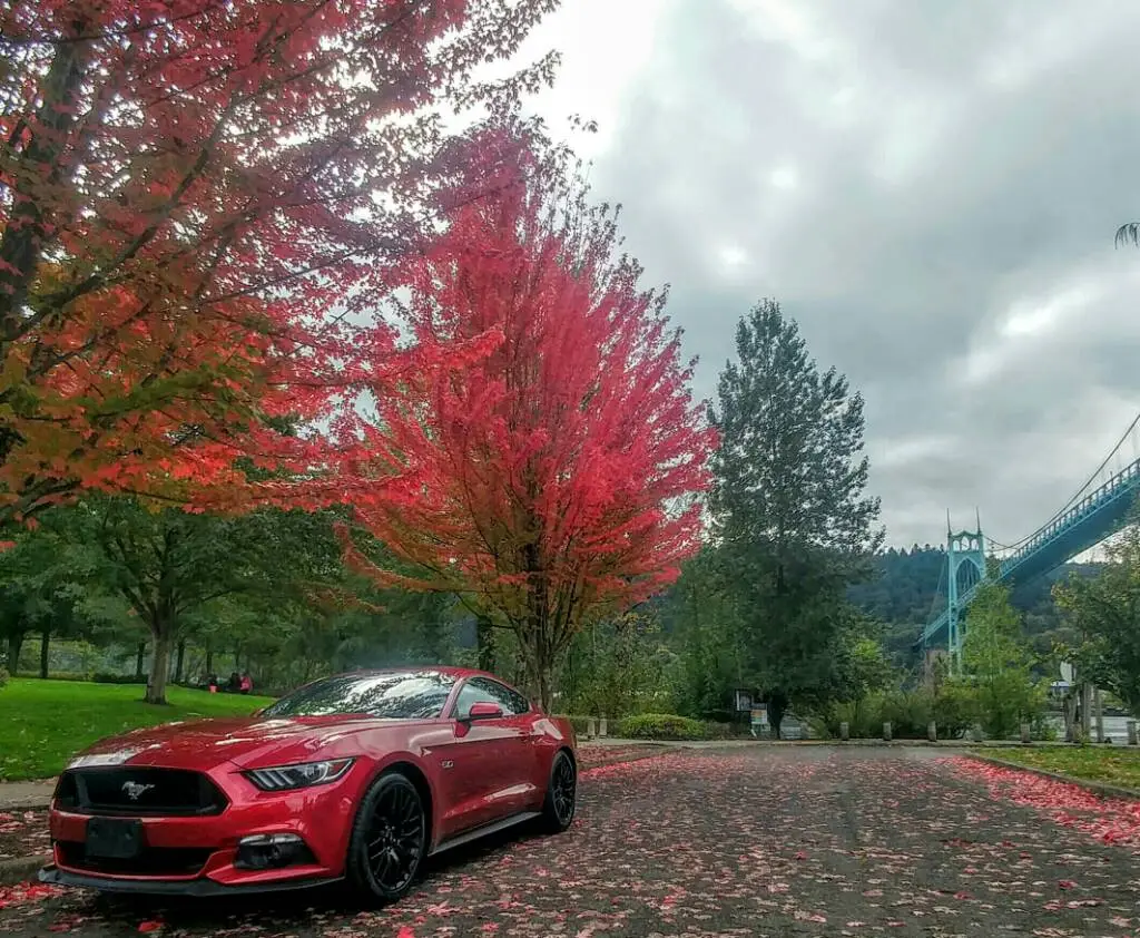 20161008_135440_HDR-1-1.webp
