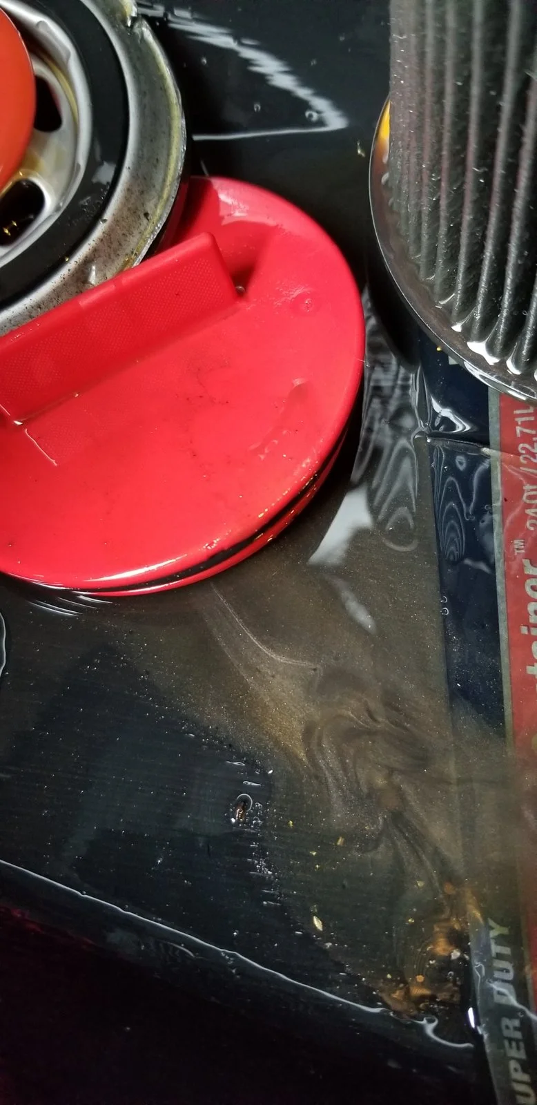 20181130_094113-jpg.webp