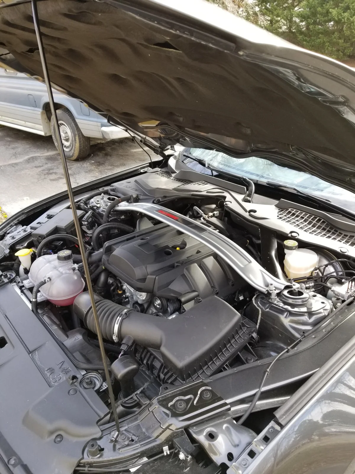 20190210_112204.webp