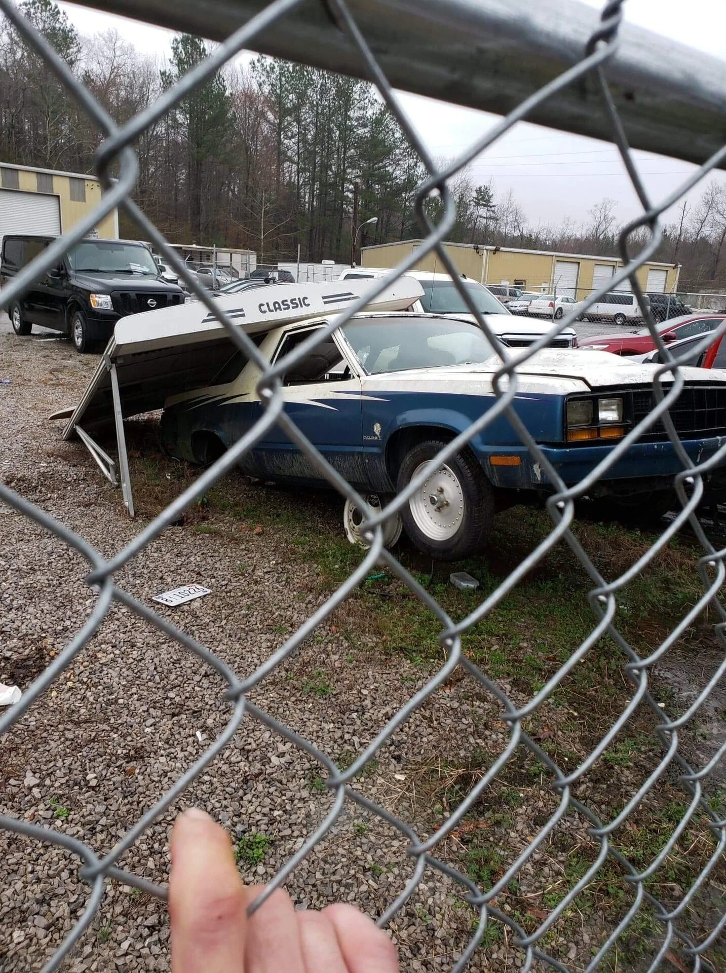 20190221_034034000_iOS.jpg