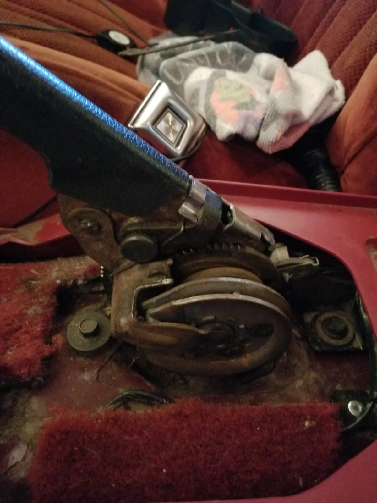 20190319_183955.jpg