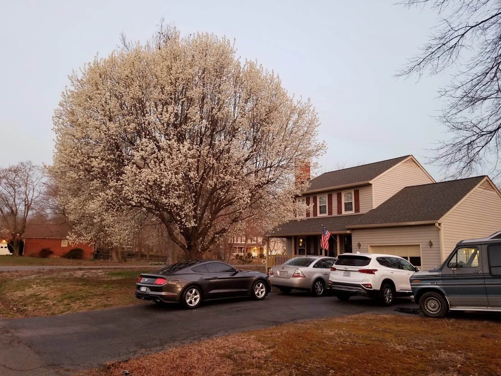 20190329_064956.webp
