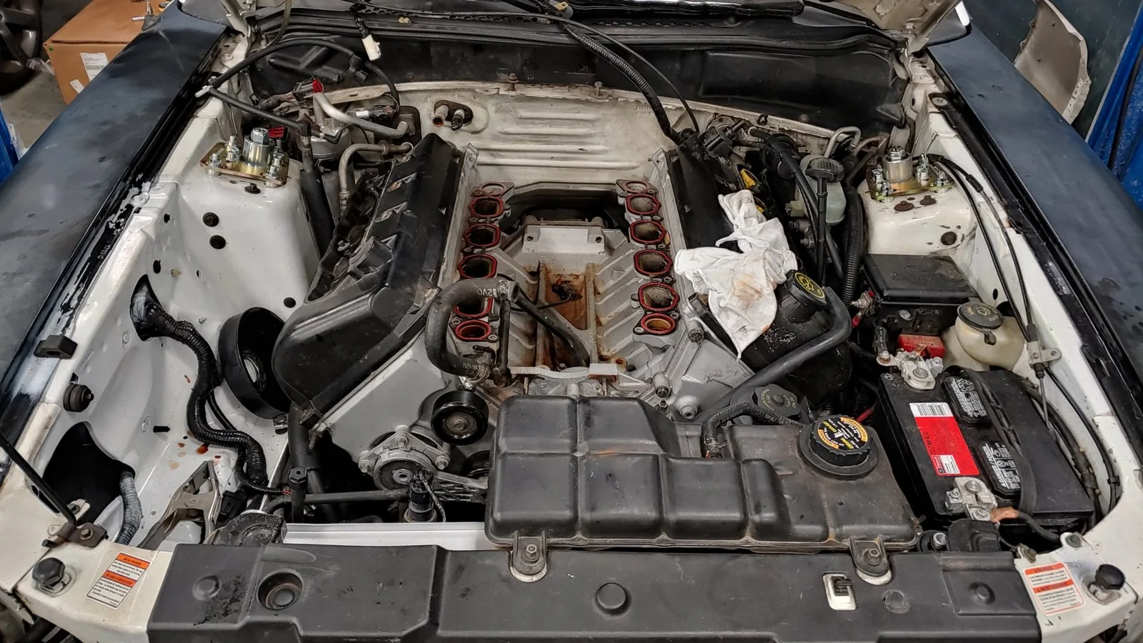 20190417_204750_HDR.jpg