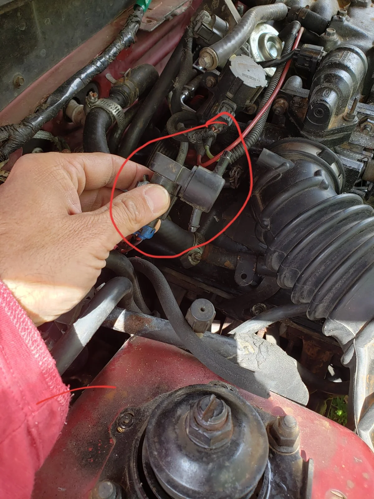20190420_133029-jpg.webp